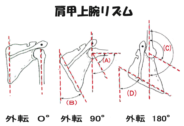 メディカルトレーナー本科 2011年10月スタート掲示板 スポーツトレーナー、メディカルトレーナーを輩出 関西メディカルスポーツ学院